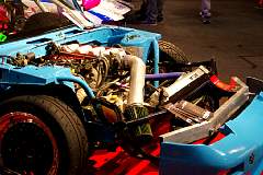 IMGP3833.JPG