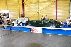 IMGP3773.JPG