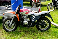 IMGP3410.JPG