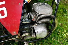 IMGP3416.JPG