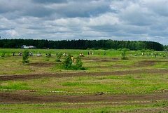 IMGP3429.JPG