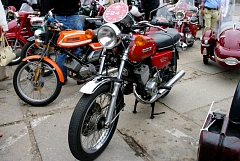 IMGP8768.JPG