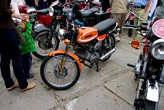 IMGP8769.JPG