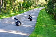 IMGP0295.JPG