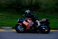 IMGP0923.JPG