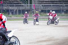 IMGP2553.JPG