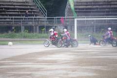 IMGP2630.JPG