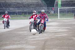 IMGP2646.JPG