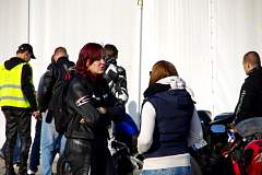 IMGP1305.JPG