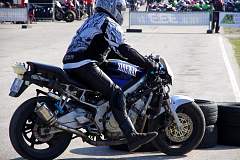 IMGP2303.JPG