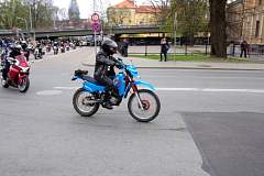 IMGP8134.JPG