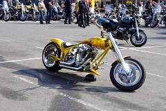IMGP7227.JPG