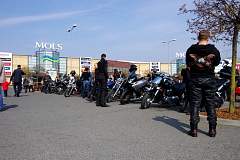 IMGP7244.JPG