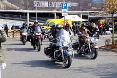 IMGP7260.JPG