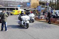 IMGP7265.JPG