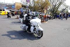 IMGP7266.JPG