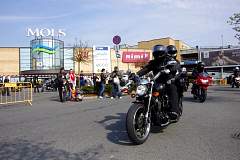 IMGP7269.JPG