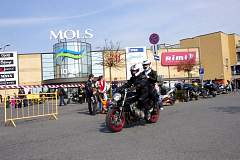 IMGP7270.JPG