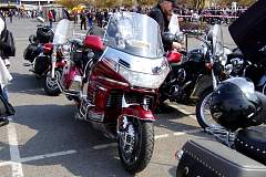 IMGP7309.JPG