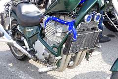IMGP7310.JPG