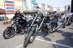 IMGP7311.JPG