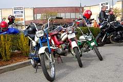 IMGP7364.JPG