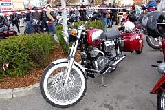 IMGP7373.JPG