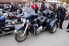 IMGP7420.JPG