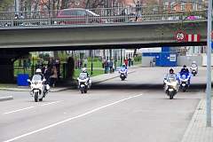IMGP7465.JPG