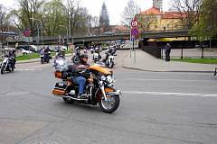 IMGP7490.JPG