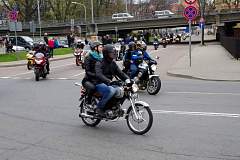 IMGP7667.JPG