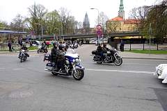 IMGP7698.JPG