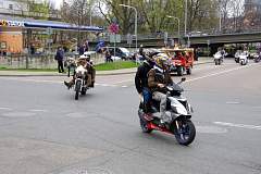 IMGP7703.JPG