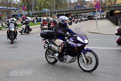 IMGP7746.JPG