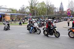 IMGP7809.JPG