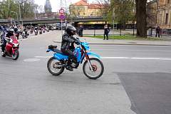 IMGP8134.JPG