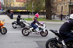 IMGP8163.JPG