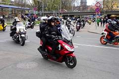 IMGP8204.JPG