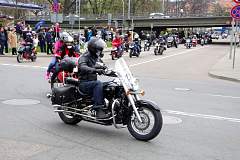 IMGP8261.JPG