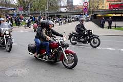 IMGP8306.JPG