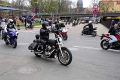 IMGP8309.JPG