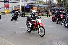 IMGP8334.JPG