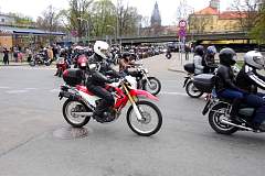 IMGP8335.JPG