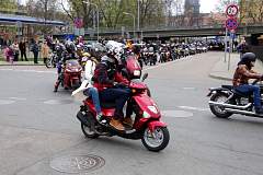 IMGP8338.JPG