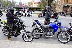 IMGP8474.JPG