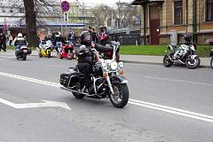 IMGP8488.JPG