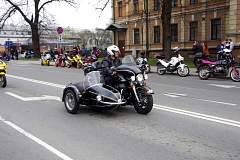 IMGP8505.JPG