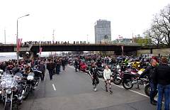 IMGP8534.JPG