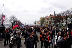 IMGP8536.JPG