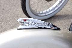 IMGP8625.JPG